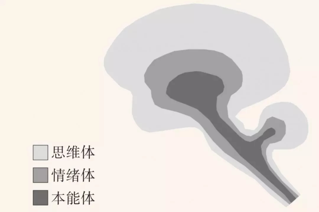 https://img.wx168e.com/upload/images/huihu/2020/12/16/174818909.jpg