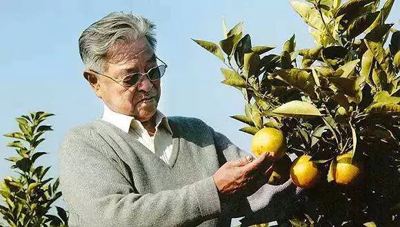 https://img.wx168e.com/upload/images/huihu/2020/12/18/175844279.jpg